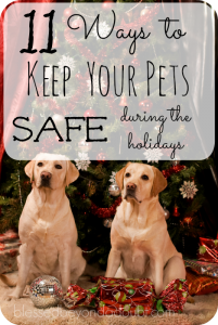 11 Ways To Keep Your Pets Safe During The Holidays! - Blessed Beyond A ...