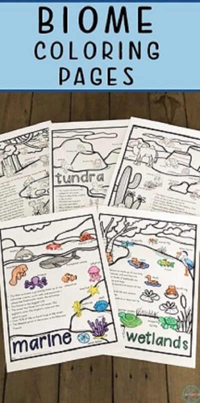 Biomes Coloring Pages - Blessed Beyond A Doubt